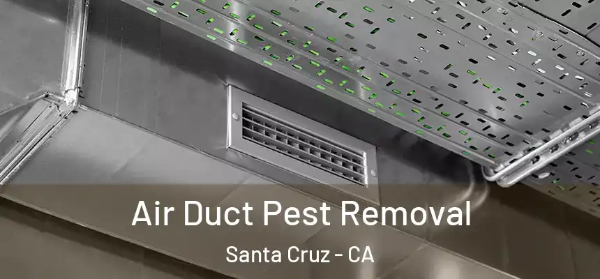Air Duct Pest Removal Santa Cruz - CA