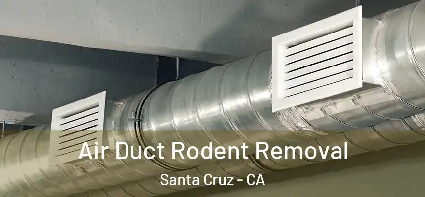  Air Duct Rodent Removal Santa Cruz - CA