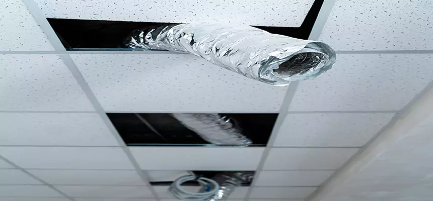 Our Air Duct Pet Hair Removal Services in Santa Cruz, CA