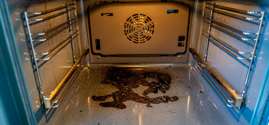 Our Dryer Vent Mold Cleaning Services in Santa Cruz, CA