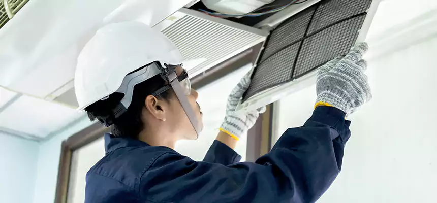 Our Mold & Mildew Removal from Air Ducts Services in Santa Cruz, CA