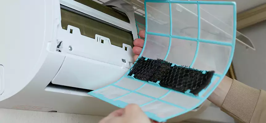 Gentle Ductwork Odor-Control Pet Dander Duct Cleaning in Santa Cruz, CA