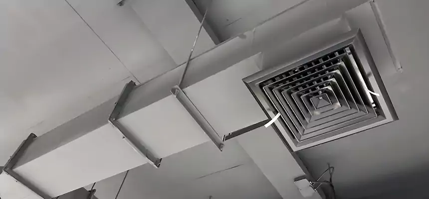 Our Rodent Droppings In Vents Services in Santa Cruz, CA