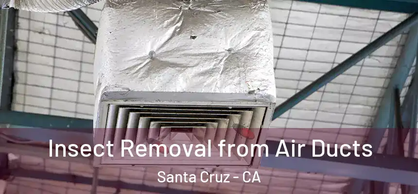  Insect Removal from Air Ducts Santa Cruz - CA