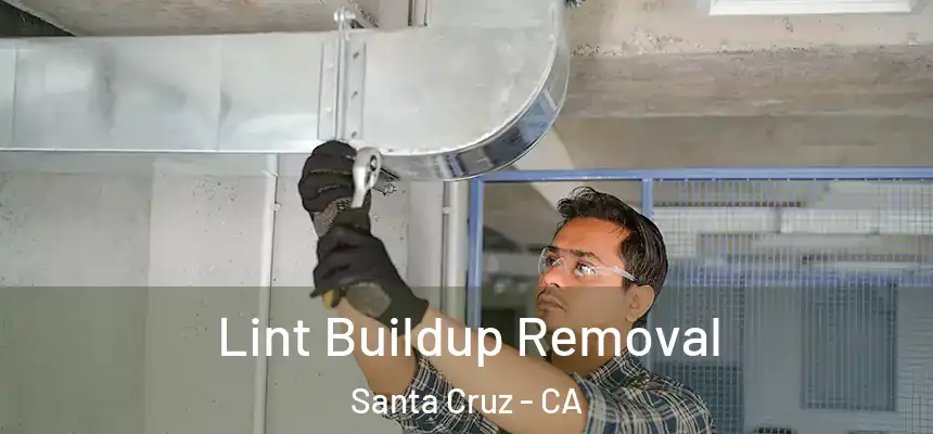  Lint Buildup Removal Santa Cruz - CA
