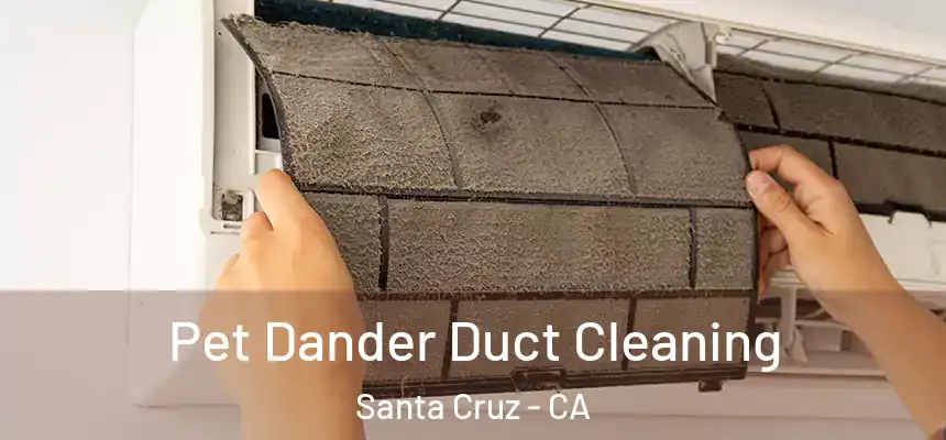 Pet Dander Duct Cleaning Santa Cruz - CA