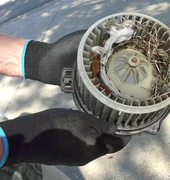 About Air Duct Mice Removal in Santa Cruz, CA