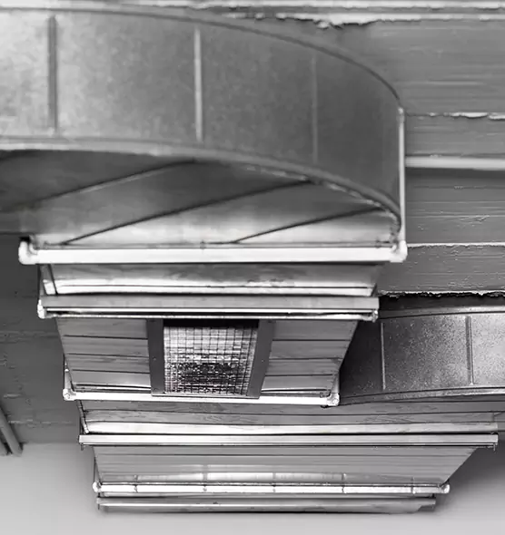 Professional Air Duct Pet Hair Removal in Santa Cruz, CA