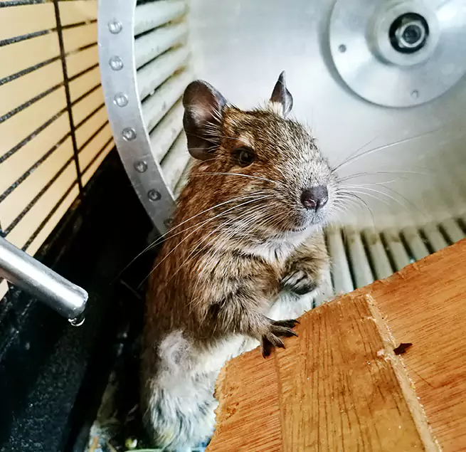 Why Homeowners & Businesses Trust Us Santa Cruz, CA?