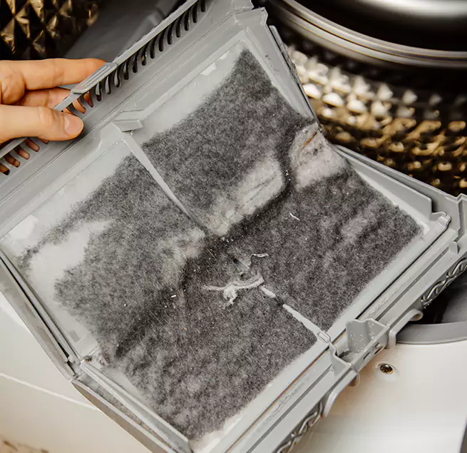  Why Homeowners & Businesses Trust Us Santa Cruz, CA?