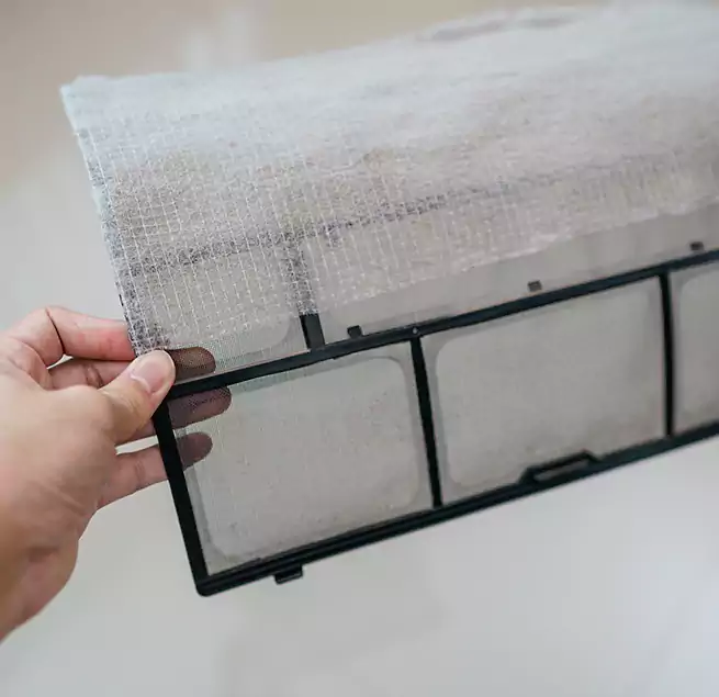 Why Homeowners & Businesses Trust Us in Santa Cruz, CA?